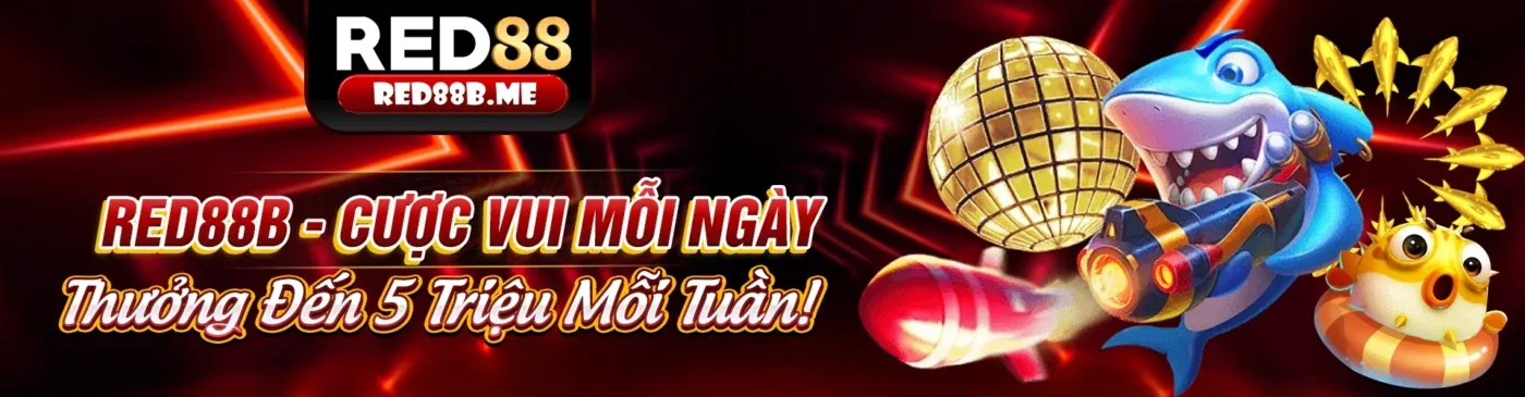 Hỗ trợ khách hàng 24/7 VZ88